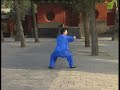 Modern Fanzi Quan by Mao Jing Guan VCD