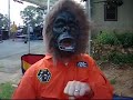 Out n About with Uncle Lew: Disasternaut Interview