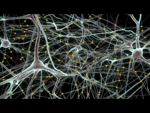 Henry Markram: A brain in a supercomputer