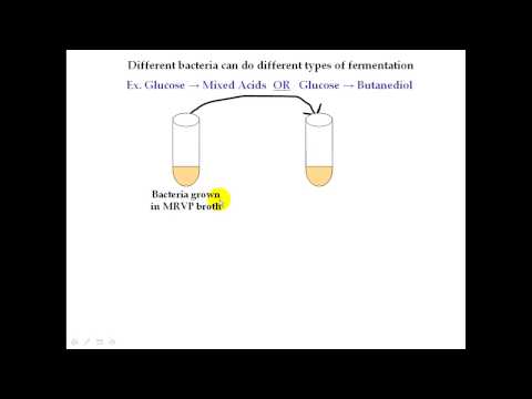 how to do mr vp test