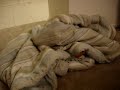 Puppies vs. the Comforter Puppies vs. the Comforter