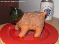 Andy takes a photo of his Chia pet twice a day for 31 days