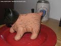 Andy takes a photo of his Chia pet twice a day for 31 days