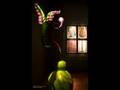videos de Chihuly!