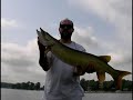 YouTube Muskie YouTube Muskie
