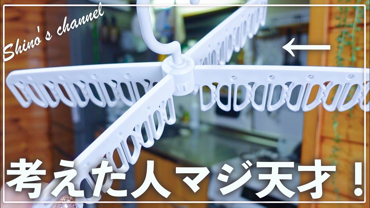 動画2