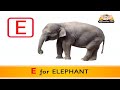 Flash cards for children - Animal ABC