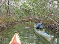 Kayaking the Florida Everglades 2009