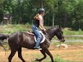 Jumper Course