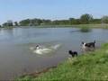 Kaylee & Friends Go Swimming