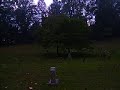 White Oak Flats Cemetery; Gatlinburg, Tennessee