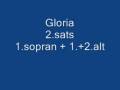 Gloria 2.sats 2.sopr. + 1.+.2.alt.wmv