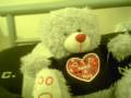 the nameless bears interveiw