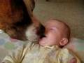 title="PuppyKisses"