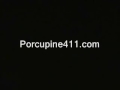 Cop quashes Porc 411 call