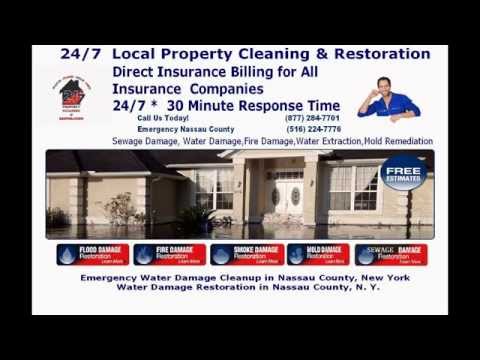 how to remove mold from a carpet