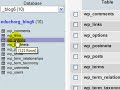 Fixing vs Patching Your WordPress Blog: What You Should Know