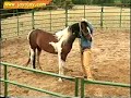 Horse Training Video: 6 of 12 Horse Training Video: 6 of 12