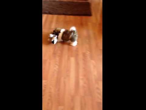 Take a look at T.D. Playing !!!