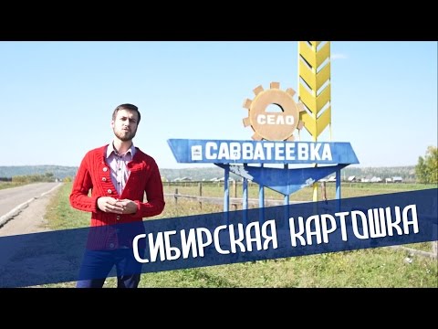 Год на Российском! Сибирский картофель — ЗАО «Савватеевское» производитель сельхозпродукции
