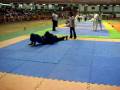 videos de Douglas Rhino 5ª etapa do mineiro de 2008