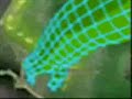 digimon evolution 12345 digimon evolution 12345