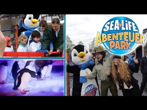 sealife - Heute bekommt ihr eine weitere Folge aus der Rubrik: CoasterfriendsTV live vor Ort. Wir waren zur offiziellen Presseeröffnung des neuen Sealife Abenteuerpark...