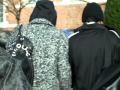 Bill e Tom com seus c�es em Lille, Fran�a