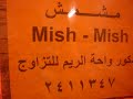 قطه للبيع شيرازي همالاي تزاوج قطط انثى ذكر www.3rabpet.com