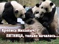 Пятнице посвящается)))))