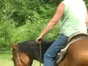 Neckreining Transition with Snaffle Neckreining Transition with Snaffle