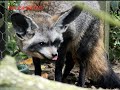 5 Sisters Zoo, West Calder