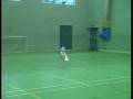 videos de Indoor Flying