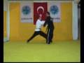 T�RKIYE ANKARA AIKI JUTSU HAPKIDO EĞITIM MERKEZI BA�KANLIĞI