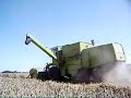Glanzend graan - john deere fendt case claas new holland MF