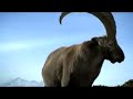 Capricorn Remix-seifenmacher Seifen Capricorn Remix-seifenmacher Seifen