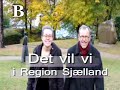 Det Radikale Venstre i Regionsråd Sjælland
