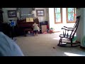 Pillow fight.AVI