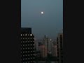 flower moon