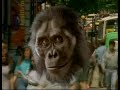 3of3 -- Paleo World - Ape Man