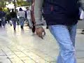 El chavi pidiendo monedas jajaja xD El chavi pidiendo monedas jajaja xD