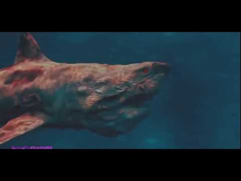 all ATOMIC SHARK scenes