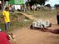 campeonato de Pit Bull