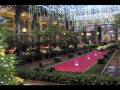 videos de Thanks Giving in LongWood garden 08