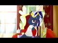 Video for krakowski pony meet