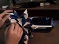 Great Stellated Dodecahedron