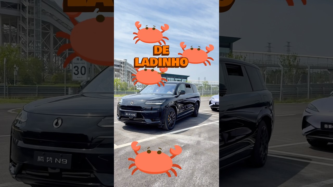 🦀 O Denza N9 entra de lado igual caranguejo! #denzabrasil