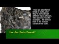 Bayer MSMS | How are rocks formed?