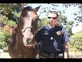 POLICE RECRUITMENT - Policing the Urban Edge
