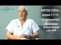 La biopsia corial